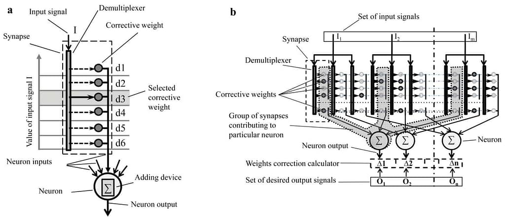 Fig. 1. Proposed p-neuron (a) and p-network including p-neurons (b)