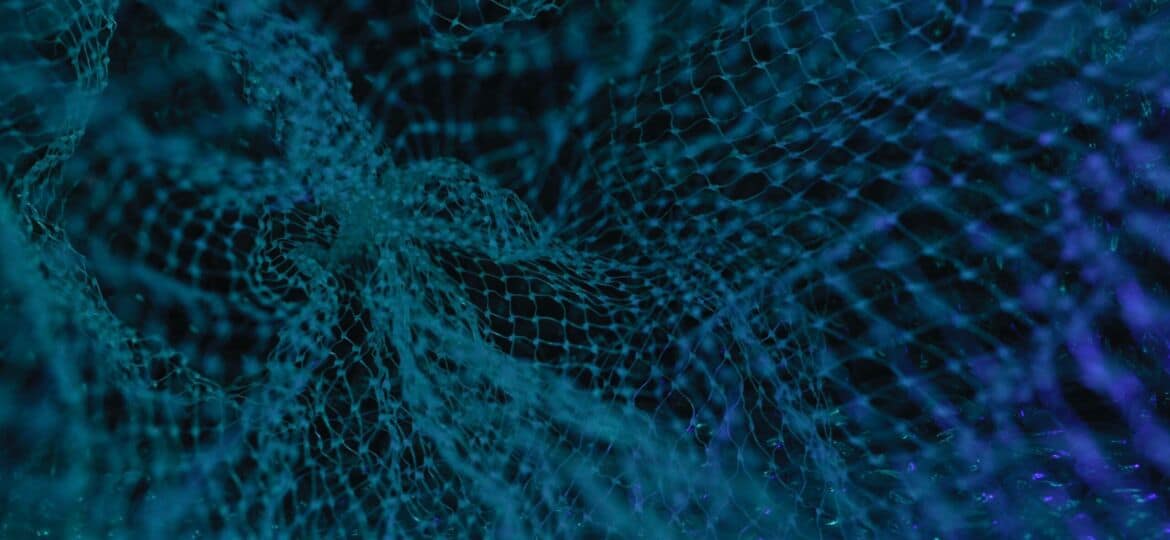 Main Principles of the General Theory of Neural Network with Internal Feedback